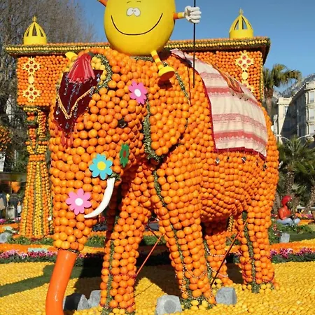 La Casa Del Limon Cozy Charm In